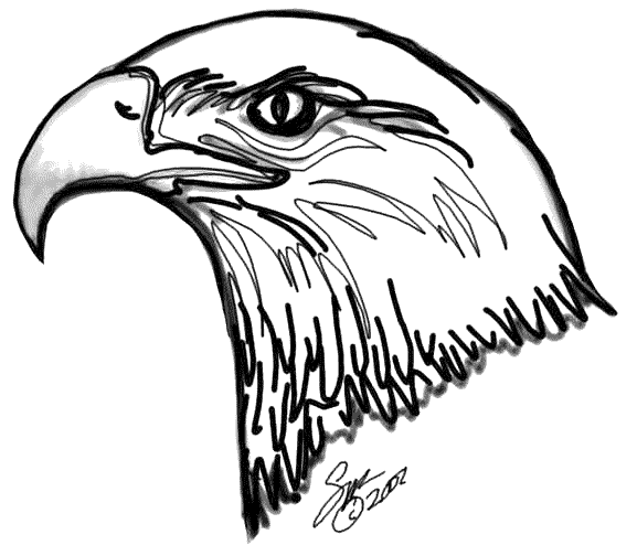 desene de colorat vultur
